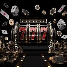 zi777